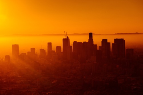 Cities face the threat of climate change and its derived risks