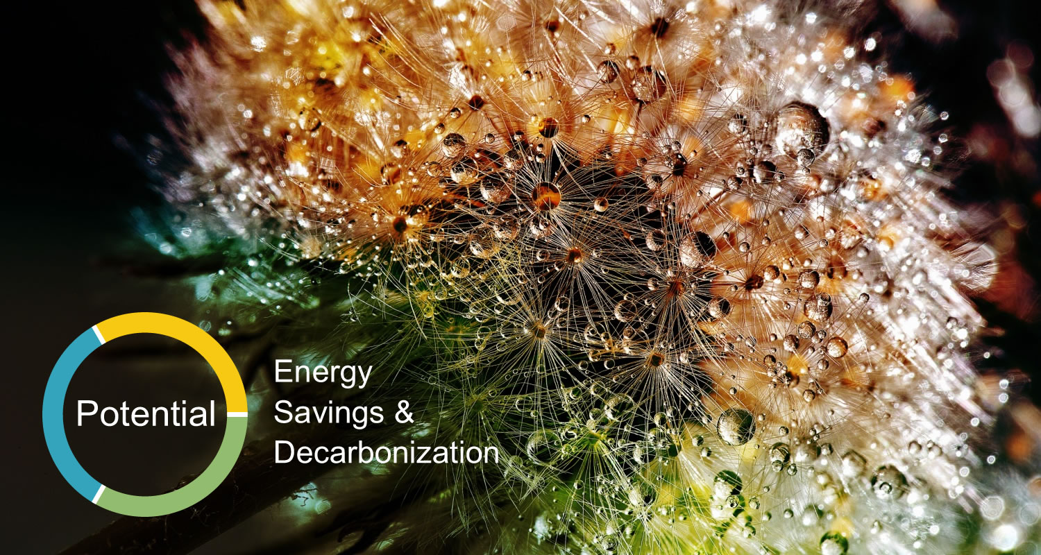Potential Energy Savings and Decarbonization